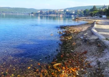 Yeniden Denizle Buluşma