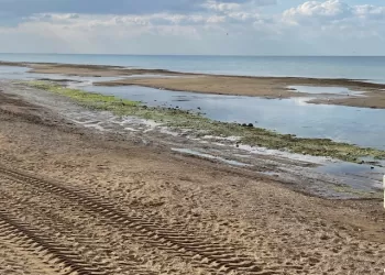 Kimse Tedirgin Olmadı