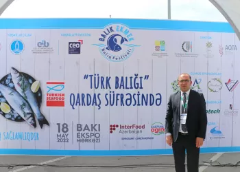 Bakü'de Balık-Ekmek Şenliği