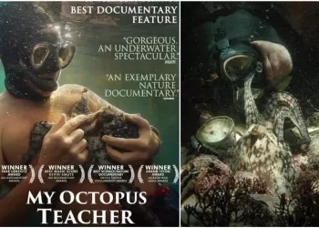 My Octopus Teacher
