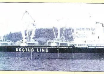 Sarı Ceketli Mühendis