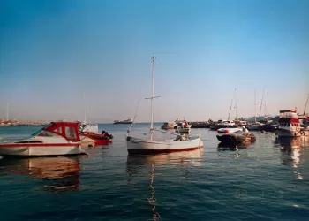 Sokaklar, Caddeler Derken Barınaklar da Sıkıntılı...