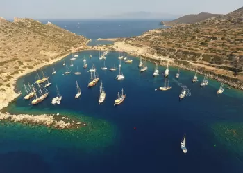 Define Avcıları ve Tarihi Eser Kaçakçıları Muğla’yı Terk Ediyor!