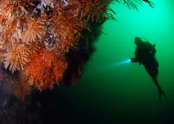 “Marmara’dan Akdeniz’e Sürdürülebilirlik Serüveni”
