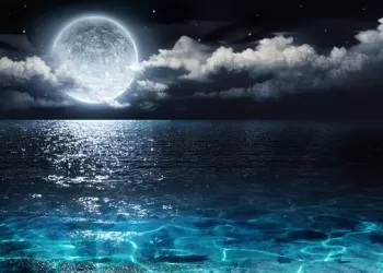 Yalnız Zifiri Karanlık