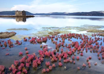 Sulak Alanlar İçin Acil Koruma Çağrısı