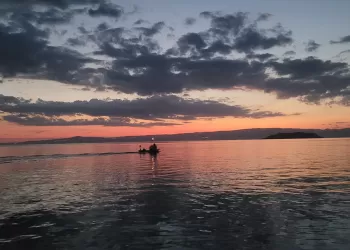 Bir Deniz Yıldızı Masalı