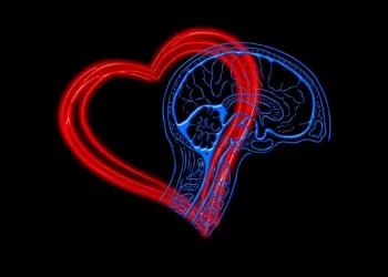 Üstün Duygu Kontrolü Üstün Zekayı Dövüyor!