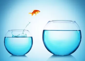 Okuduğunu Anlamak Ya Da Anlamamak