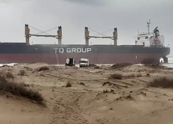 Devasa Gemi Karaya Oturdu