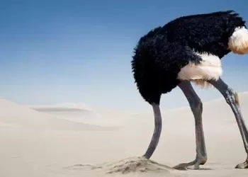 Kimse Yörük Sırtından Kurban Kesme Çabası İçinde Olmamalı Der Atalarımız