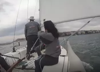 Hepsi Birer Deniz Kurdu