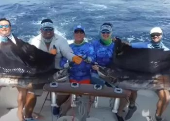 Kılıç Balığı Avı ve Teknikleri