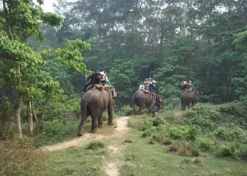 Dünya'nın Tepelerinde Bir Yer ''Nepal''