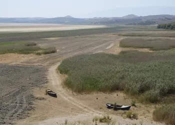 Kurak Dünya Su Günü!