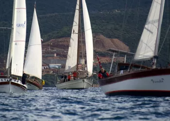 ''Tırhandil Cup Oktay Tüfek Trofesi'' 4. Ayak Yarışları