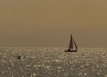 İki Yarış Arka Arkaya