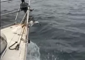 İstanbul açıklarında sert ve soğuk havada  yelken seyri