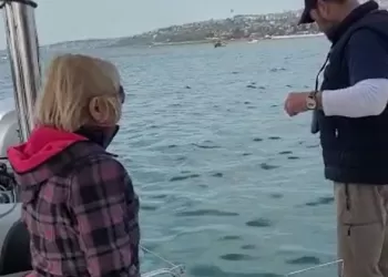 Yelkenli Katamaran ile Balığa Çıkmak