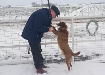 Çelişkilerle Dolu Bir Mevzuatımız Var...
