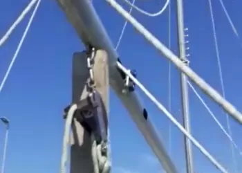 Yelkenlinin her şeyini yapabilmek