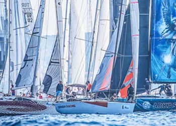 Yelkende Arkas Vizyonu