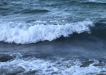 36. Çanakkale Boğazı Yüzme Yarışı