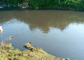 Ergene… Yok olan Ergene…