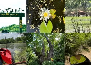 Memleketimizin Doğası Gerçekten Bizim Şansımız!