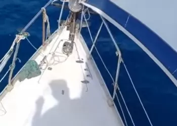 Pruvanız Neta Olsun