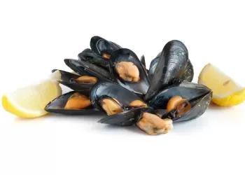 Midye Var, Yerseniz!