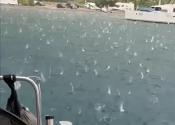 Yelkenli Doluya Yakalandı