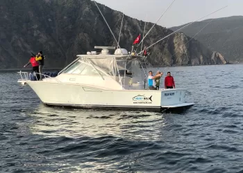 Big Game Fishing - Açık Denizde Sırtı