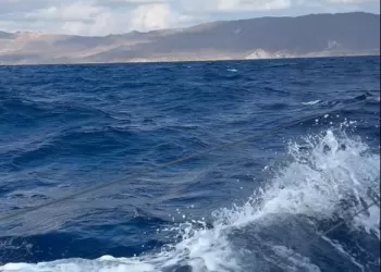 Palamutbükü'nden Bodrum'a Doğru