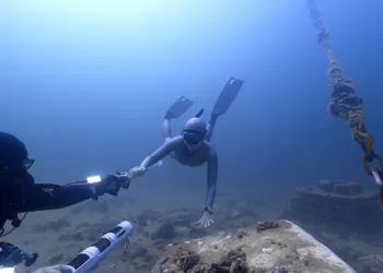 300 Istakoz Çanakkale Boğazı’nda Doğal Ortamlarıyla Buluşturuldu