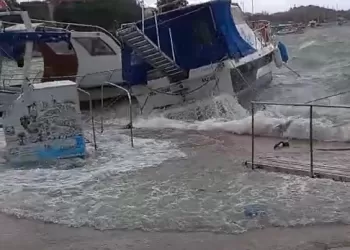 Lodosun Etkisiyle Mavi Denizanaları Rıhtıma Vurdu
