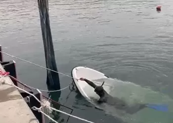 Batan Teknelerin Çıkartılma Çalışması