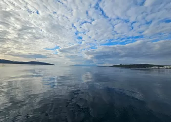 Ertelemeyin! Yelken Vinçlerinin Bakımı Çok Önemli