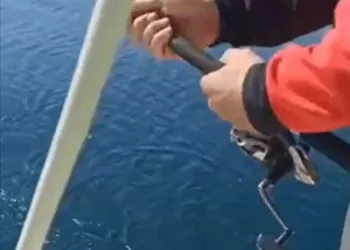 Doğru Kalama Ayarı Şart