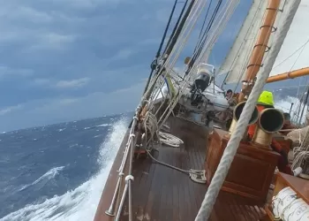 İskeleden Çok Sert Esiyor