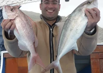 JIGGING - DİKEY SEYİRTME