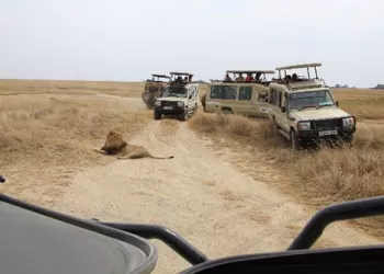 Afrika’nın Hakiki Yüzü ''Tanzanya'' (2. Bölüm)