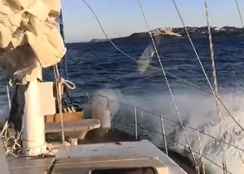 ''Güney Yıldızı 2'' yelkenlisi Bodrum'a Ulaştı