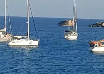 Barış ve Özgürlük Temalı