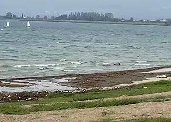 İznik Gölü'nde Genç Yelkenciler Eğitimde