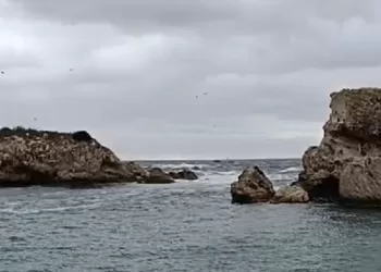 Muhabirimiz Sertan Sayın Şile’den Bildiriyor: İhbar Gelince