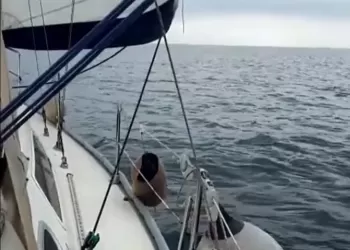 Sedef Adası Açıklarında Seyir