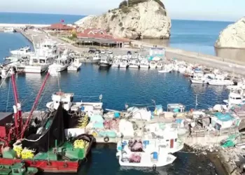 Şile'de Denizcilik ve Balık Avcılığı: Geçmişten Günümüze Bir Hikaye