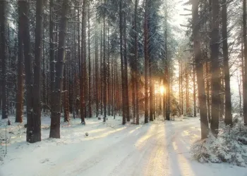 İçinde İnsan  Olan Ay