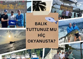 Şimdi bir balık hikayesi dinleyelim: Goya’yı ihmal ettik mi, tabi ki hayır